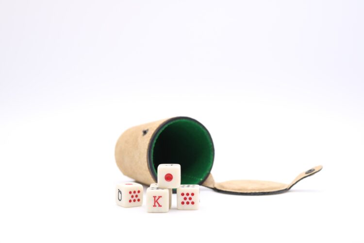 How to Play Poker Dice for Beginners